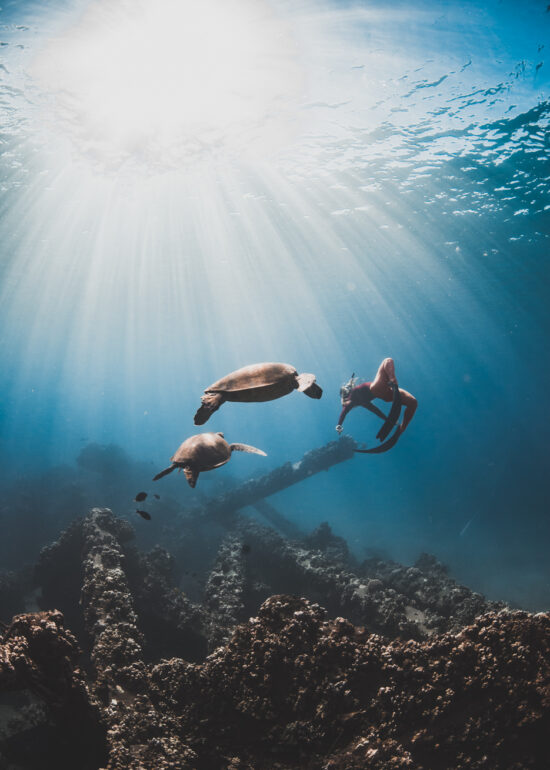 Underwater-Photography-Maui